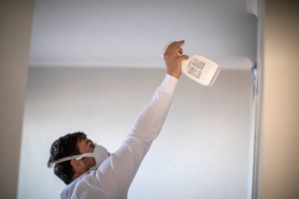 Best Best Mold Removal Companies  in Sandy Valley, NV