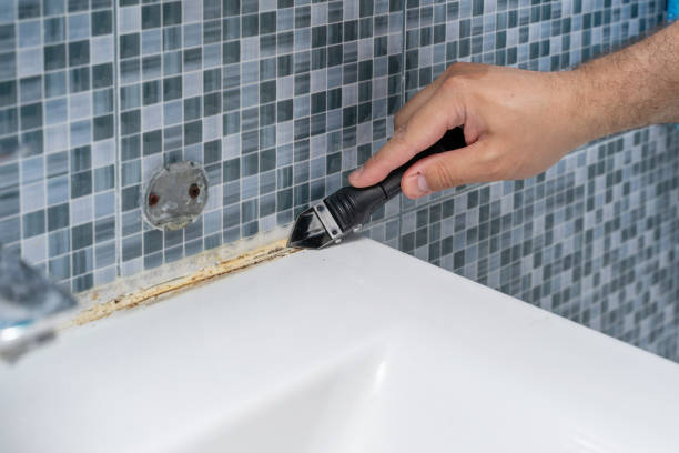 Best Same-Day Mold Removal  in Sandy Valley, NV